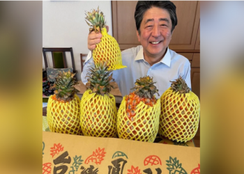 安倍笑容可掬推鳳梨 蔡英文：嘗不夠 隨叫隨到