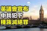 香港希望之聲