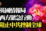 香港希望之聲