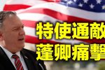 香港希望之聲