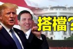 香港希望之聲