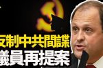 香港希望之聲