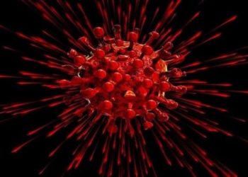 突變再突變 法國又現新變種病毒引發群聚感染