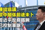 香港希望之聲