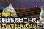 香港希望之聲 香港希望之聲