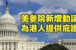 香港希望之聲 香港希望之聲