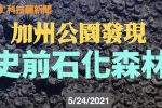 香港希望之聲