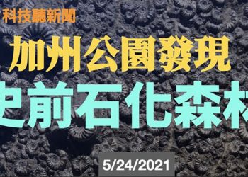 【粵新月異】加州公園發現史前石化森林; 2020年微軟佔全球公有雲市場16.6%; OneWeb 再發36顆互聯網衛星; 高通工業物聯網 5G IoT Modem …