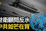 香港希望之聲