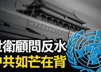 【粵覽新聞】世衛顧問也反水 北京如芒在背 臺灣抗議中共阻撓其參與世衛大會 …