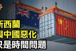 香港希望之聲