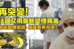 香港希望之聲 香港希望之聲