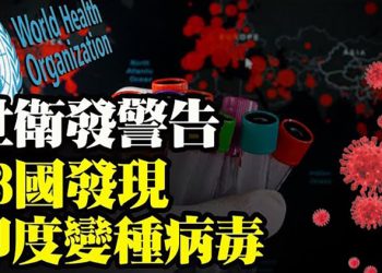 【粵覽新聞】印度病毒 傳播迅速 歐盟出手 製裁白俄 …