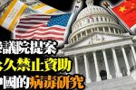 香港希望之聲