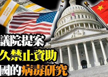 【粵覽新聞】美通過修正案 禁資助武毒所及中國“增加功能”研究；蔡英文譴責中共阻臺獲疫苗…