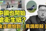 香港希望之聲