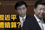 香港希望之聲