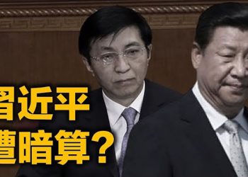 习遭暗算 谁在挖坑？【每日要聞】