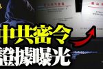 香港希望之聲 香港希望之聲