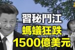 香港希望之聲 香港希望之聲