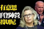 香港希望之聲 香港希望之聲