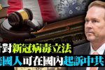 香港希望之聲
