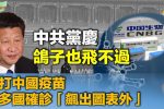 香港希望之聲