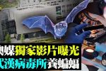 香港希望之聲