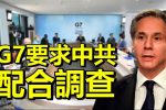 香港希望之聲