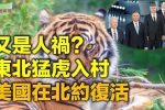 香港希望之聲
