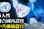 香港希望之聲 香港希望之聲