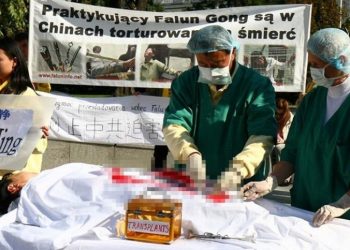 聯合國人權專家再度證實：中共強摘少數族群器官
