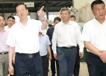 供銷社試點下月啟動 中共計劃經濟借屍還魂？