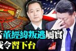 香港希望之聲