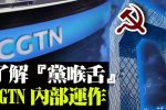 香港希望之聲
