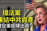香港希望之聲