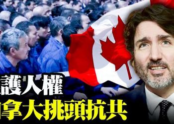 加拿大挑頭與北京在聯合國對杠 推選舉改革法案 民主黨受挫【粵覽新聞】