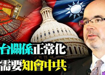 美外交官:臺灣不再僅是對中關系的問題之一;被刪除的新冠病毒序列部分已被恢復;杜汶澤義聘《蘋果》失業員工 網民大贊【粵覽新聞】