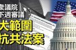 香港希望之聲