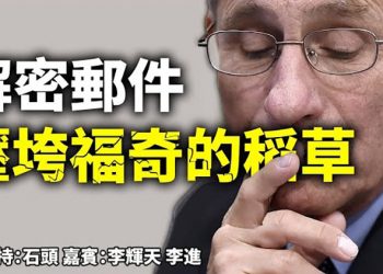 解密郵件 壓垮福奇的稻草  【頭頭是道】