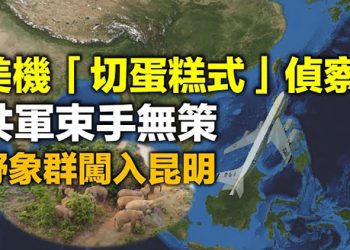 美機入防空識別區 共方束手無策;歐洲七國啟疫情數碼簽證;黑命貴前領袖:發現醜陋真相 退出;不忘恩負義 危地馬拉挺台拒共【每日要聞】