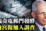 香港希望之聲