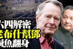 香港希望之聲