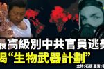 香港希望之聲 香港希望之聲