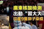 香港希望之聲 香港希望之聲