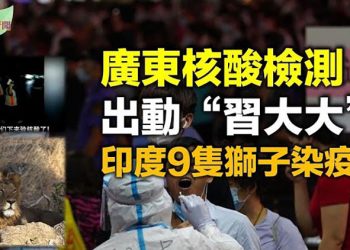 【希望聽新聞】廣東大規模核酸檢測出動“習大大”；華爾街日報：跨國公司正計劃撤離香港；穆迪：中共三孩政策不能大幅改變出生率…