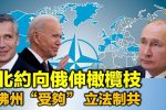 香港希望之聲 香港希望之聲