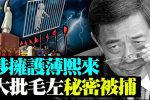 香港希望之聲