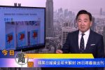 香港希望之聲 香港希望之聲