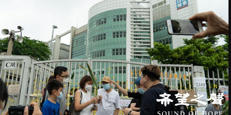 逾百港人冒雨到《蘋果日報》大樓認領大樓內的盆栽植物。（攝影：鄭銘）